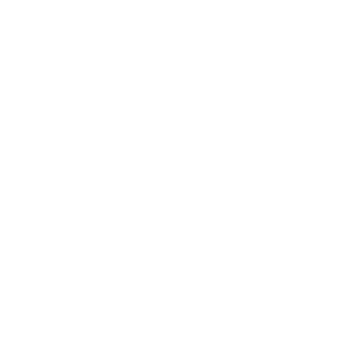 Button Icon
